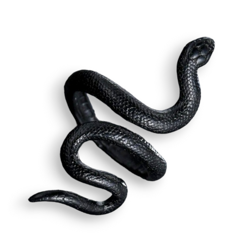 Edgy Black Coiled Snake Ring